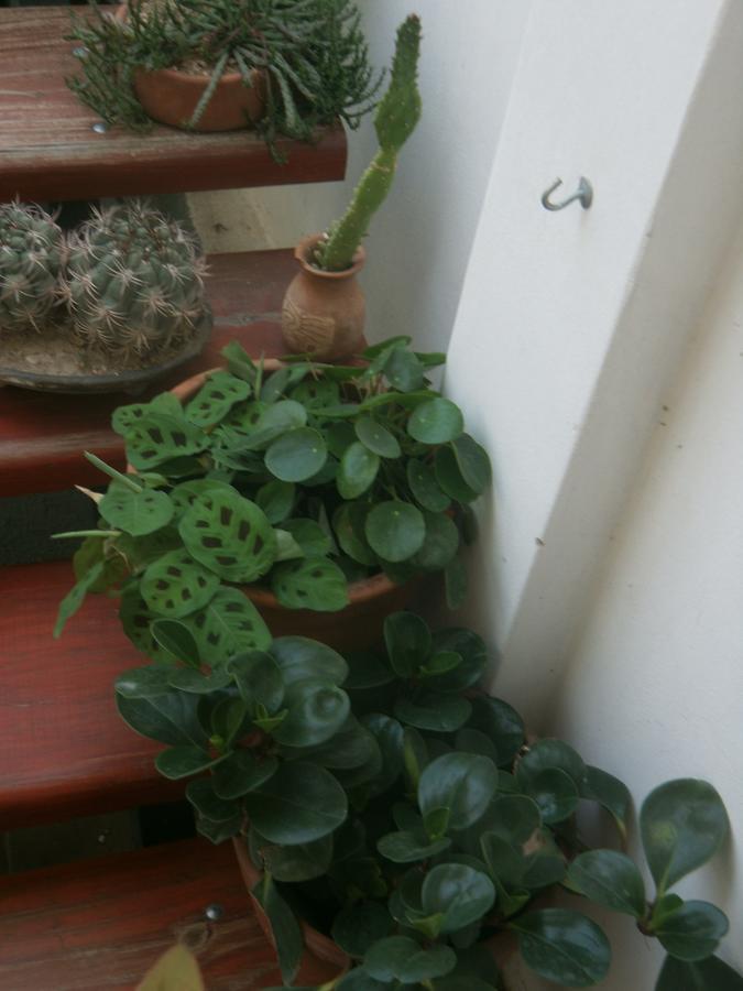Hostal Aires De Cafayate Exterior photo